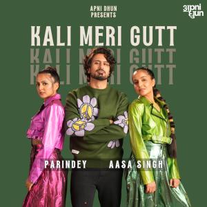 Aasa Singh的專輯Kali Meri Gutt