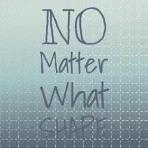 收聽The T Bones的No Matter What Shape歌詞歌曲