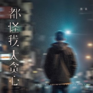 张良的专辑都怪我太贪心