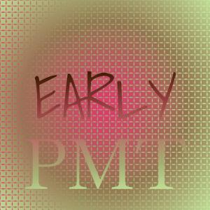 Various Artists的專輯Early Pmt