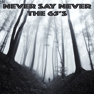 ดาวน์โหลดและฟังเพลง Never Say Never พร้อมเนื้อเพลงจาก The 65's