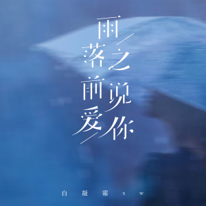 Album 雨落之前说爱你 from 白凝霜xw
