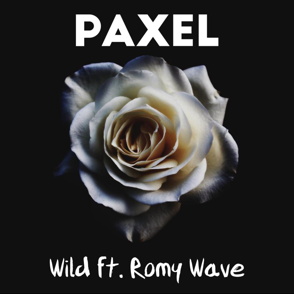 Wild(feat. Romy Wave)