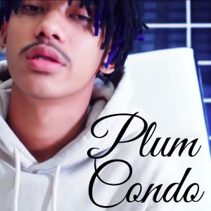 ดาวน์โหลดและฟังเพลง Plum Condo พร้อมเนื้อเพลงจาก BABYBIGBOY