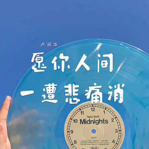 Album 愿你人间一遭悲痛消 from 卢润泽