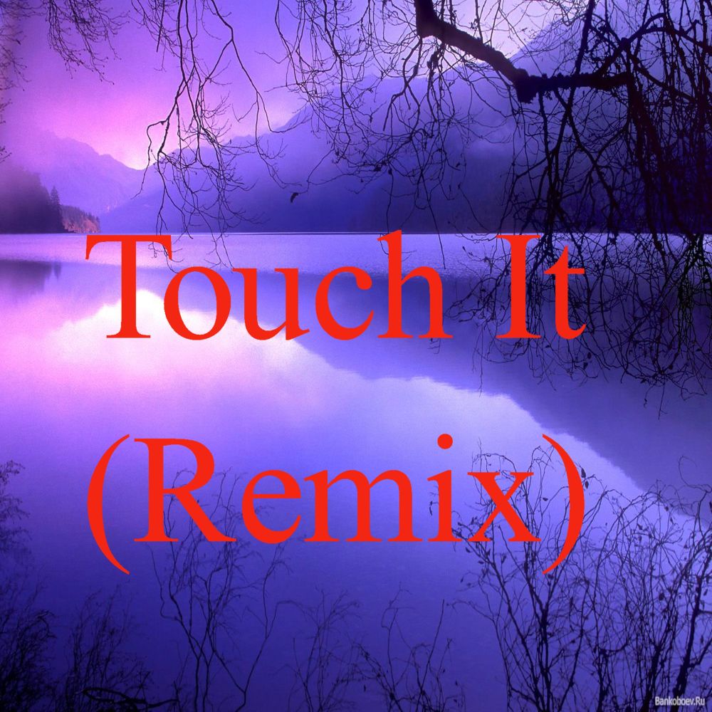 Touch It (Remix)