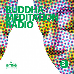 Album Buddha Meditation Radio, Vol. 3 from 