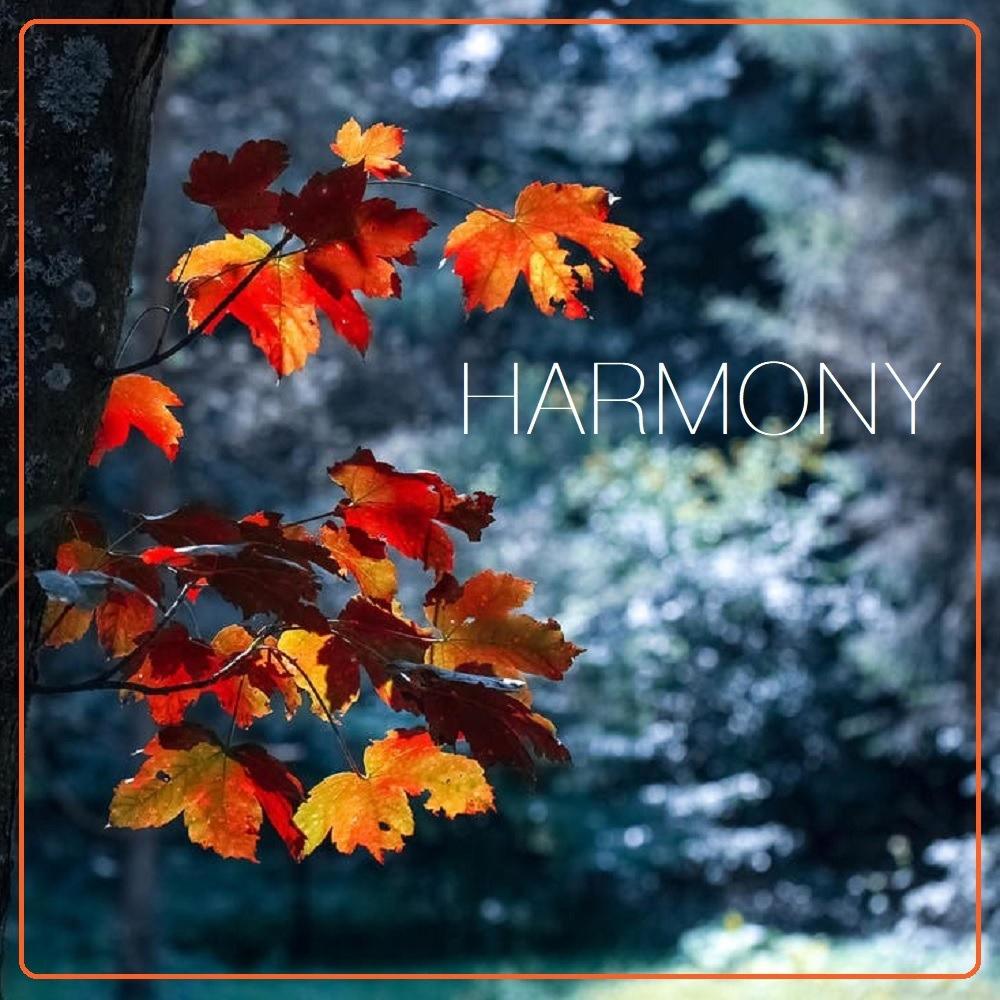 Harmony