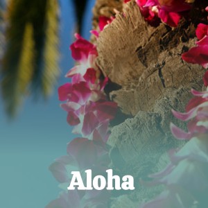 收聽Perry Como的Aloha歌詞歌曲