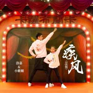 Album 疾风(DJ版) from 小紫媚