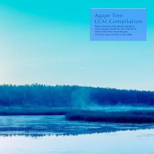 Various Artists的專輯Agape Tree's Tranquil Time CCM Piano