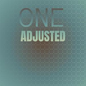 Various Artists的專輯One Adjusted