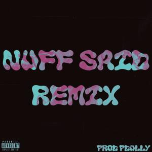 ดาวน์โหลดและฟังเพลง nuff said (feat. Phonzz) (remix) (Explicit) (remix|Explicit) พร้อมเนื้อเพลงจาก PDully
