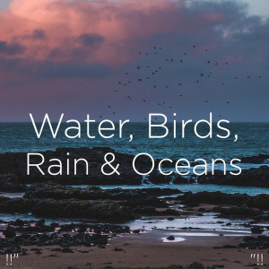 Dengarkan Sleep Meditation lagu dari Sleep Sounds of Nature dengan lirik