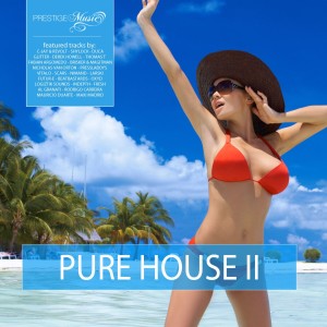 Derek Howell的專輯Pure House Vol. 2