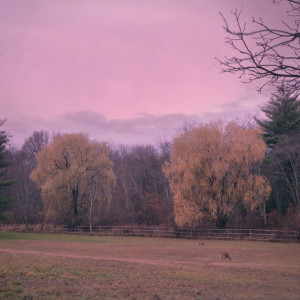 ดาวน์โหลดและฟังเพลง Would You Mind Please Pulling Me Close? พร้อมเนื้อเพลงจาก Tasha