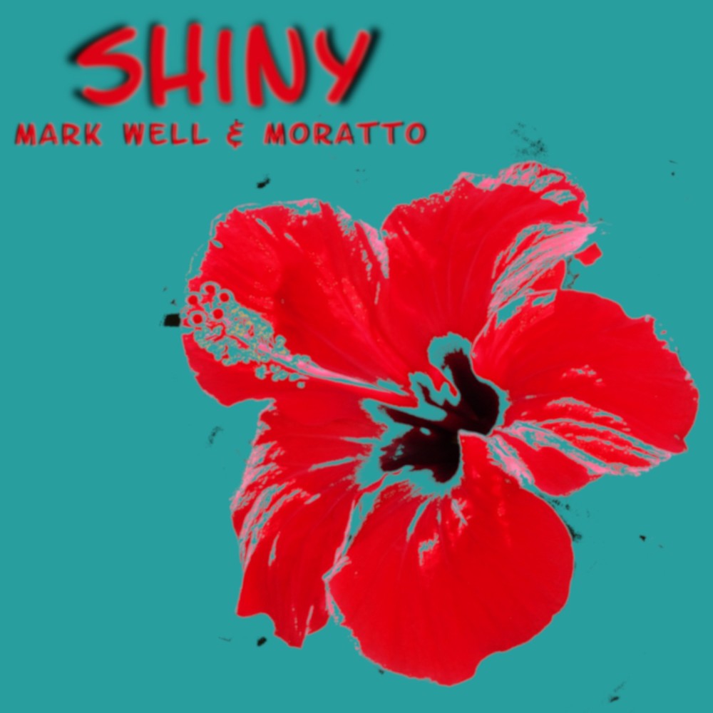 Shiny (Radio Edit Mx)