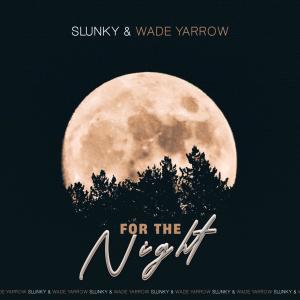 ดาวน์โหลดและฟังเพลง For the 9yt (Radio Edit) พร้อมเนื้อเพลงจาก Evelin Rehbein