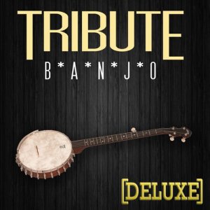 ดาวน์โหลดและฟังเพลง Banjo พร้อมเนื้อเพลงจาก The Flat Banjos