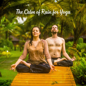 The Calm of Rain for Yoga