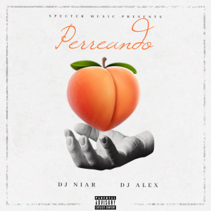 Listen to Perreando (Explicit) song with lyrics from DJ Niar