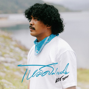 Listen to เหม็ดไม่เหลือ song with lyrics from เดช อิสระ