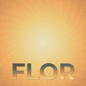 Album Flor oleh Various Artists