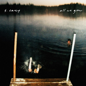 ดาวน์โหลดและฟังเพลง In the Stream พร้อมเนื้อเพลงจาก S. Carey