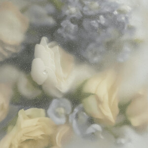 Album Daydream oleh Yokaze