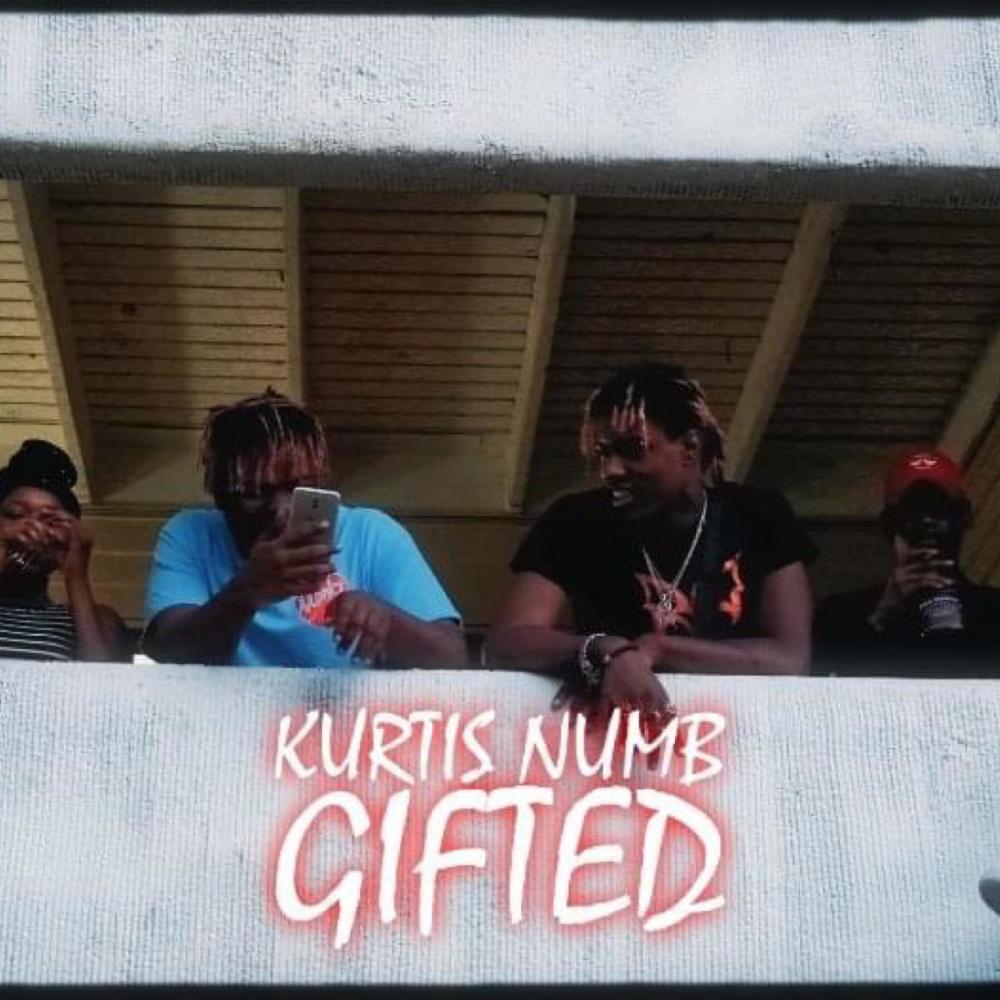 Gifted (Explicit)