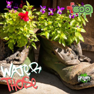 อัลบัม Water Those ศิลปิน DrGoo