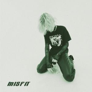 Listen to Misfit song with lyrics from МОНКИ