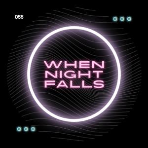 O55的专辑When Night Falls