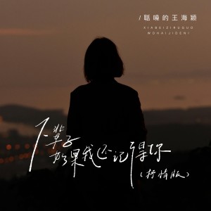 Album 下辈子如果我还记得你（DJ豪大大版） from 王海颖