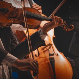 The Lost Director的專輯Quiet Orchestra Reflections: Serene Symphonies