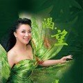 Album 渴望 (母亲水窖昆明独唱演唱会) from 吴春燕