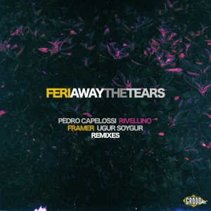Listen to Away the Tears (Pedro Capelossi, Rivellino Remix) song with lyrics from Feri