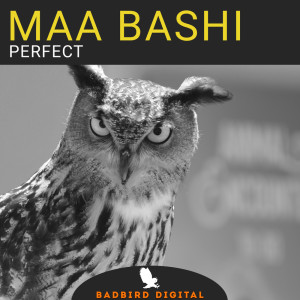 收聽Maa Bashi的Perfect歌詞歌曲