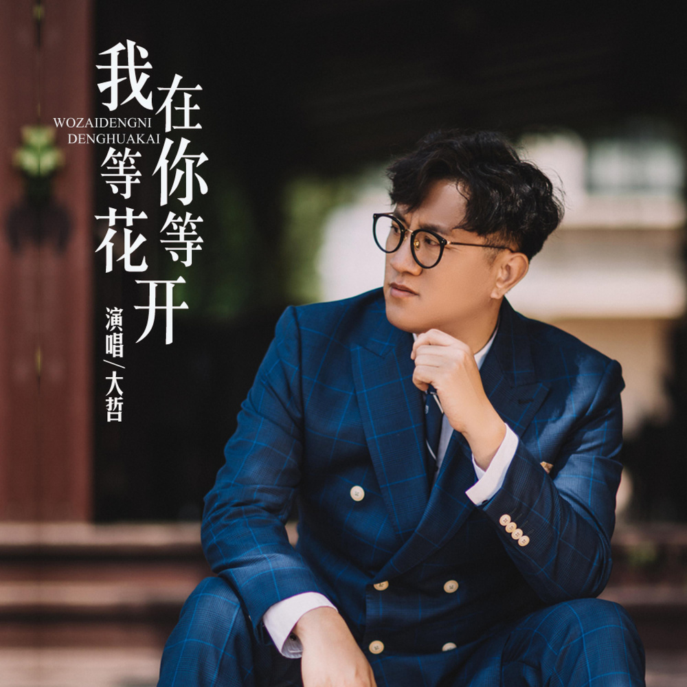 我在等你等花开 (完整版)