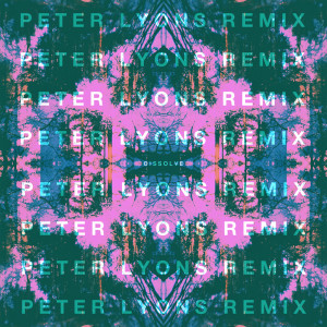 Listen to Dissolve (Peter Lyons Remix) song with lyrics from Tusks