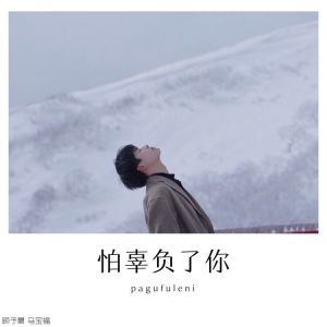 Album 怕辜负了你 from 顾予晨