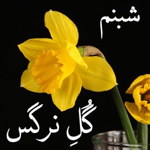 Dengarkan Ba Khuda Jan Degar Kar Na Daram lagu dari Shabnam dengan lirik
