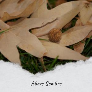 Listen to Prunus song with lyrics from Jenz
