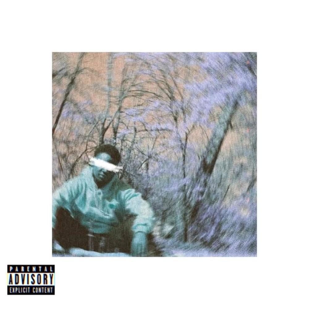 Amethyst Freestyle (Explicit)
