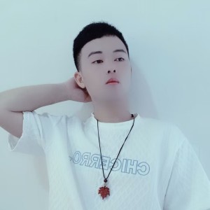 Album 你的世界我来过 from 