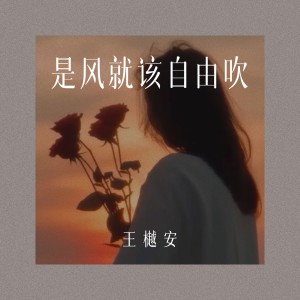 Album 是风就该自由吹 from 王守亿