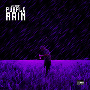 ดาวน์โหลดและฟังเพลง Purple Rain พร้อมเนื้อเพลงจาก WAVVE354
