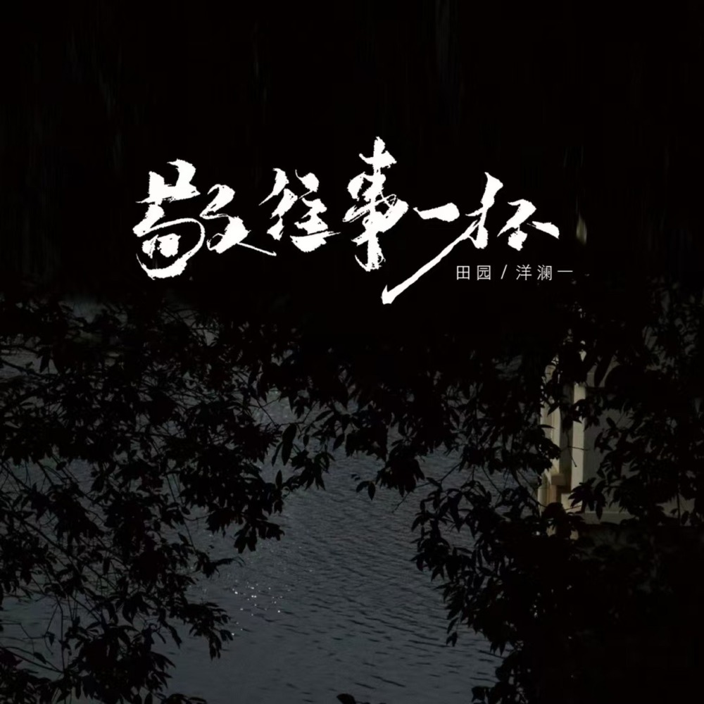 敬往事一杯 (DJ EVA版)