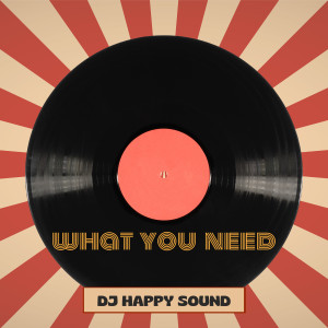 Album What You Need from DJ Happy Sound