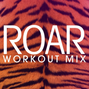 收聽Power Music Workout的Roar (DJ Shocker Extended Remix)歌詞歌曲